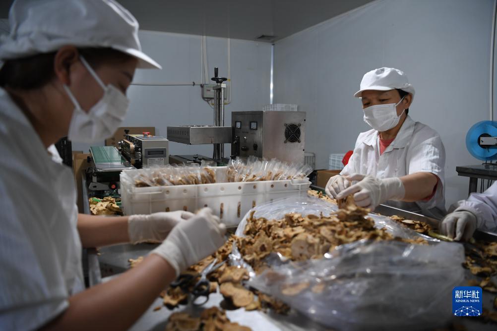ag捕鱼根据什么